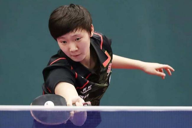 本届法网的 本届法网的